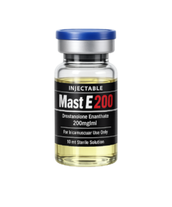 Mast E 200
