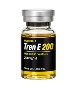 Tren E 200